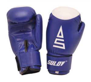 Sulov Box rukavice DX modré