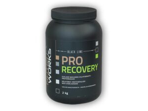 Nutri Works Pro Recovery 2000g